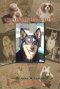 Unconditional Love: It's All about Dogs