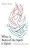 What is Born of the Spirit is Spirit