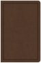 CSB Deluxe Gift Bible, Brown LeatherTouch