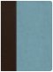 CSB Life Essentials Interactive Study Bible, Brown/Sky LeatherTouch