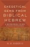 Exegetical Gems from Biblical Hebrew