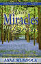 Where Miracles Are Born (Seeds of Wisdom on the Secret Place, Volume 13)