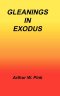 Gleanings In Exodus