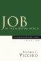 Job in the Medieval World