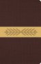 The Message Bible Paraphrase, Bible, Brown, Imitation Leather, One-Column Layout, Timelines, Charts, Ribbon Marker