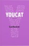 Youcat Confession