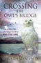 Crossing The Owl\'s Bridge