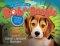 The Adventures of Bob the Beagle: Finding A New Family