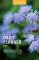 Our Daily Bread 2025 Daily Planner