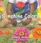Sonshine Colors
