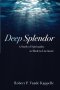 Deep Splendor: A Study of Spirituality in Modern Literature
