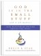 God Is in the Small Stuff 20th Anniversary Edition