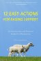 12 Easy Actions for Raising Support: A Practical, Introductory Guide For Missionaries