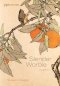 Slender Warble