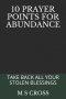 10 Prayer Points for Abundance: Take Back All Your Stolen Blessings