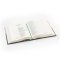 Hosanna Revival CSB Notetaking Bible: Bend Theme