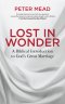 Lost in Wonder