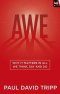 Awe