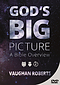 God's Big Picture DVD