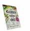 The Garden, the Curtain & the Cross - Colouring and Activity Book