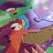 Planet Friendly Puzzle - Jungle