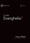 Ce Este Evanghelia? (what Is The Gospel?) (romanian)