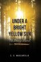 Under a Bright Yellow Sun: The Bronze Sword
