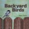 Backyard Birds