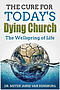 The Cure for Today's Dying Church: The Wellspring of Life