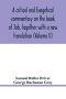 A critical and exegetical commentary on the book of Job, together with a new translation (Volume II)