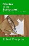 Stories in the Scriptures: A novelist's approach to the Bible