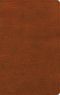 NASB Single-Column Personal Size Bible, Burnt Sienna LeatherTouch