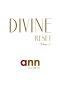 Divine Reset - Volume 2 - Ann Elizabeth