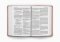 ESV Value Large Print Compact Bible (TruTone, Blush Rose, Fleur-de-lis Design)