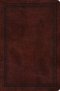 ESV Value Compact Bible (TruTone, Mahogany, Border Design)