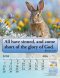 Joyful News 2026 Scripture Calendar Pack of 10