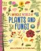 Whole World Of...: Plants And Fungi