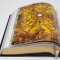 The Word on Fire Bible: Volume 2