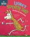 Experiences Matter: Llama\'s Sports Day