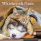 Whiskers & Paws Wall Calendar