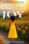 A Christian Journey: Chloe's Journey to Joy