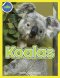 Koala Activity Workbook Ages 4-8