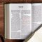 NASB Giant Print Reference Bible, Olive Leathertouch