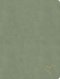 CSB Notetaking Bible, Revive Our Hearts Edition, Sage SuedeSoft LeatherTouch
