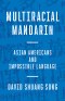 Multiracial Mandarin – Asian Americans and Impossible Language