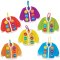 Cardigan Button Threading & Lacing Kits (Pack of 6)