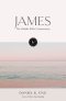 Hodder Bible Commentary: James