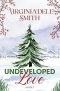 Undeveloped Love: A Christmas Collection Novella