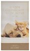 Planner-2027-Be Kind & Compassionate Daily Planner (Ephesians 4:32)-Small