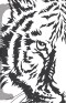 Paper Tigers: Learning to Discern Fear